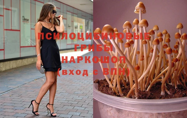 mix Надым