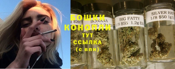 ГАЛЛЮЦИНОГЕННЫЕ ГРИБЫ Михайловск