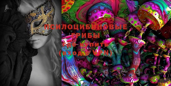 марки lsd Гусиноозёрск