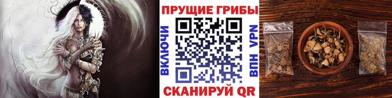Галлюциногенные грибы GOLDEN TEACHER  Орлов 